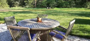 New holiday home in Appelscha on the edge of the forest - Image 4