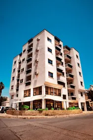 Olive Island - Image 3