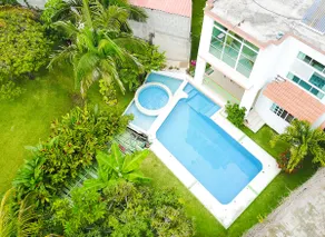 Excellent house with a pool looking for a Monarch sanctuary - Image 5