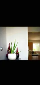 GI Cozy nestled home - Image 2