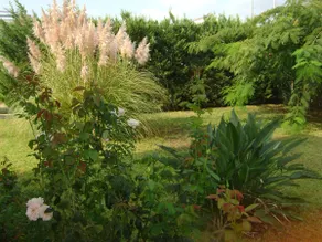 Villa Dome, 300 meters from the beach - Image 4