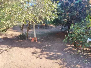 Beautiful farm for weekends and holidays - Image 3