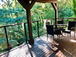 Forest View - Image 3