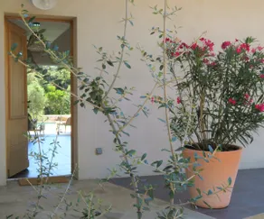 The Soliam Bonifacio House - Image 5