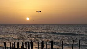 ”Bamboo Beach House a great place to remember” - Image 3