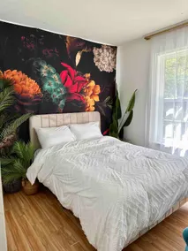 Modern and Spacious cottage, centrally located - Image 4