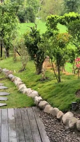 Private homestay, electric mahjong, unlimited karaoke, free parking, private pastoral view - Image 3