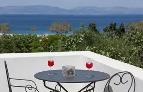 Aneli Luxury Villas-Villa Aegina - Image 4
