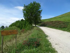 Villa Ca' Doccio Holiday - Image 2