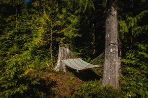 Forbidden Plateau Paradise with Hot Tub - Image 2