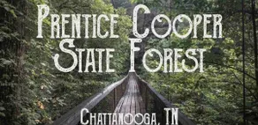 Mountain Retreat close to Chattanooga Attractions - Image 5