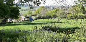 The Roost in the Blackdowns - Image 4