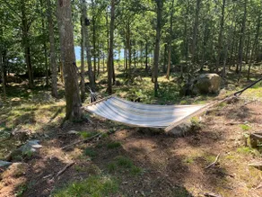 Cabin near lake with swimming & fishing opportunities by boat - Image 3
