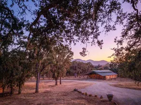 Secluded 440 Acre log Cabin Lake Naci Retreat - Image 3