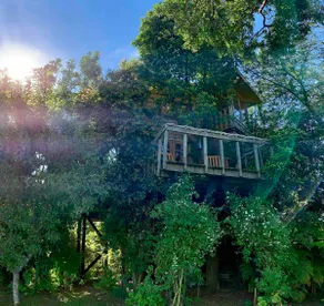 The Tree House of Chiloé - Image 2