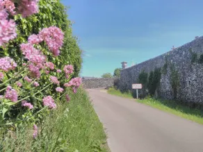 House and garden, close to the sea - Image 3