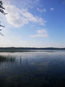 Minocqua Retreat Home ...7 miles from downtown!!! - Image 3