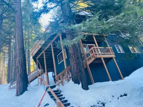 Cabin in the Trees w/ EV Charger - Image 2