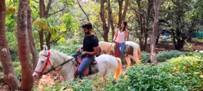 The Zen Forest Cottage. Homestay, Pet Friendly - Image 5