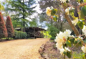 Mount Tomah Huntington Cottage - Évadez-vous de la chaleur estivale! - Image 3