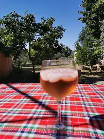 In the heart of the Luberon, large 2-room with pool - Image 4