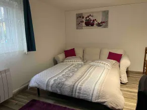 House near Basel/Mulhouse airport - Image 4