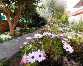 Entire home in Faura. Wi-Fi, garage, and garden - Image 4