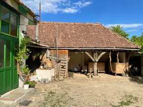 Authentic Saxon House in the heart of Transylvania - Image 4
