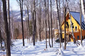 Artists Chalet minutes from Stratton Ski Resort - Image 4