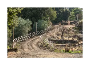#casa etnella for winelovers between Etna&Taormina - Image 2