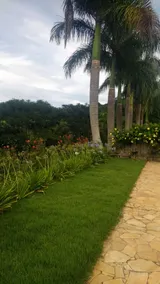 Farmhouse near Poços de Caldas - Image 2