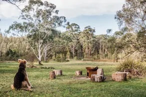 Wandha Myall Lakes ~ Eco-Certified ~ Dog Friendly - Image 5