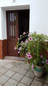 Casa Jara - Image 3