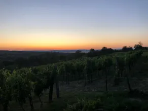 d.Five Vineyard & Retreat Koroshegy - Image 4