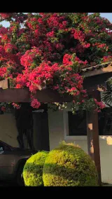 Farm to relax 40 minutes from Campos do Jordão - Image 3