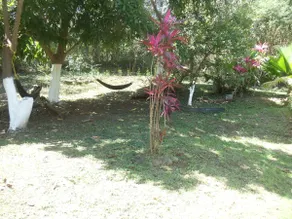 Fajardo Peaceful Place - Image 4