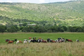 Private house on lifestyle farm - Image 4