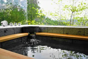NEGURA -Jojō- with natural hot springs - Zao Sansuien - Gai Resort - Image 5