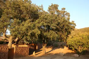 Charming little house - Image 2