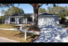 Private Pool Home Near Clearwater & Tampa - Image 3