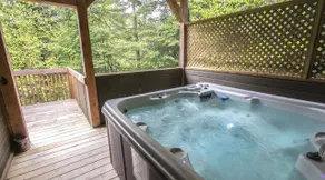 Le St-Gervais in Mont Blanc (Laurentians) - Image 3