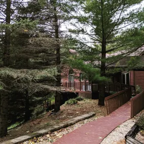 Rustic Acres Cabin & Springs - Image 2