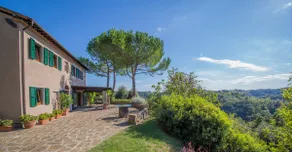 Tuscan Estate - Pool - Olive Grove - 8 ha - Image 5