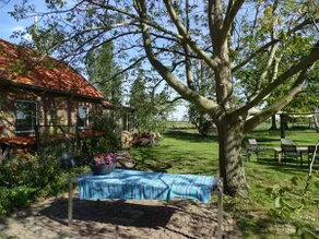 Roer, cottage on the Maas, near Den Bosch - Image 2