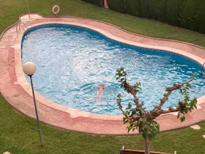 Oliveres - Image 2