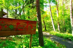 300 years old Japanese Traditional House in Forest - Image 2