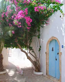 SAFRAN : Dar Aziza, Erriadh (whole house) - Image 5