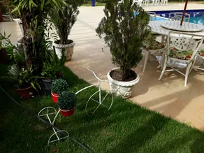 Sítio Sonho Meu - Image 5