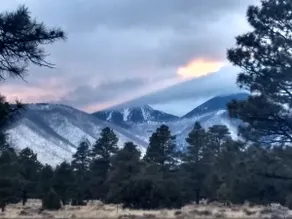 The Mountain View Cottage in Flagstaff - Image 5