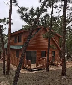 Hundefreundliche, gemütliche 3-Zimmer-Hütte im Wald - Image 3